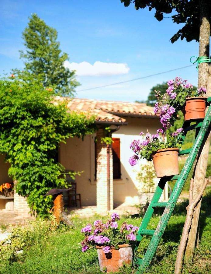 Arcadia Villa Spello Kültér fotó