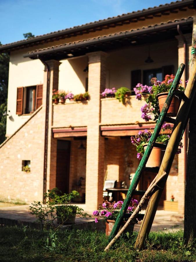 Arcadia Villa Spello Kültér fotó