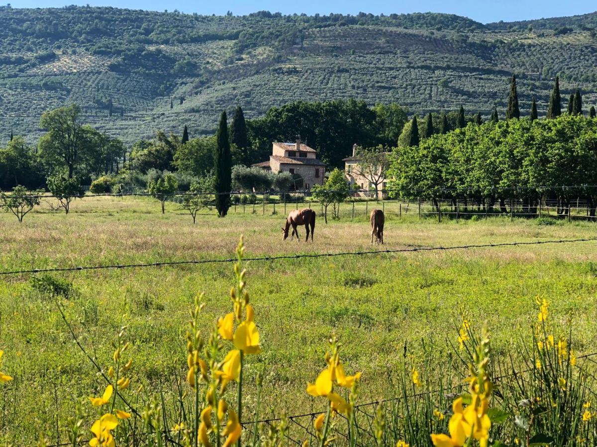 Arcadia Villa Spello Kültér fotó