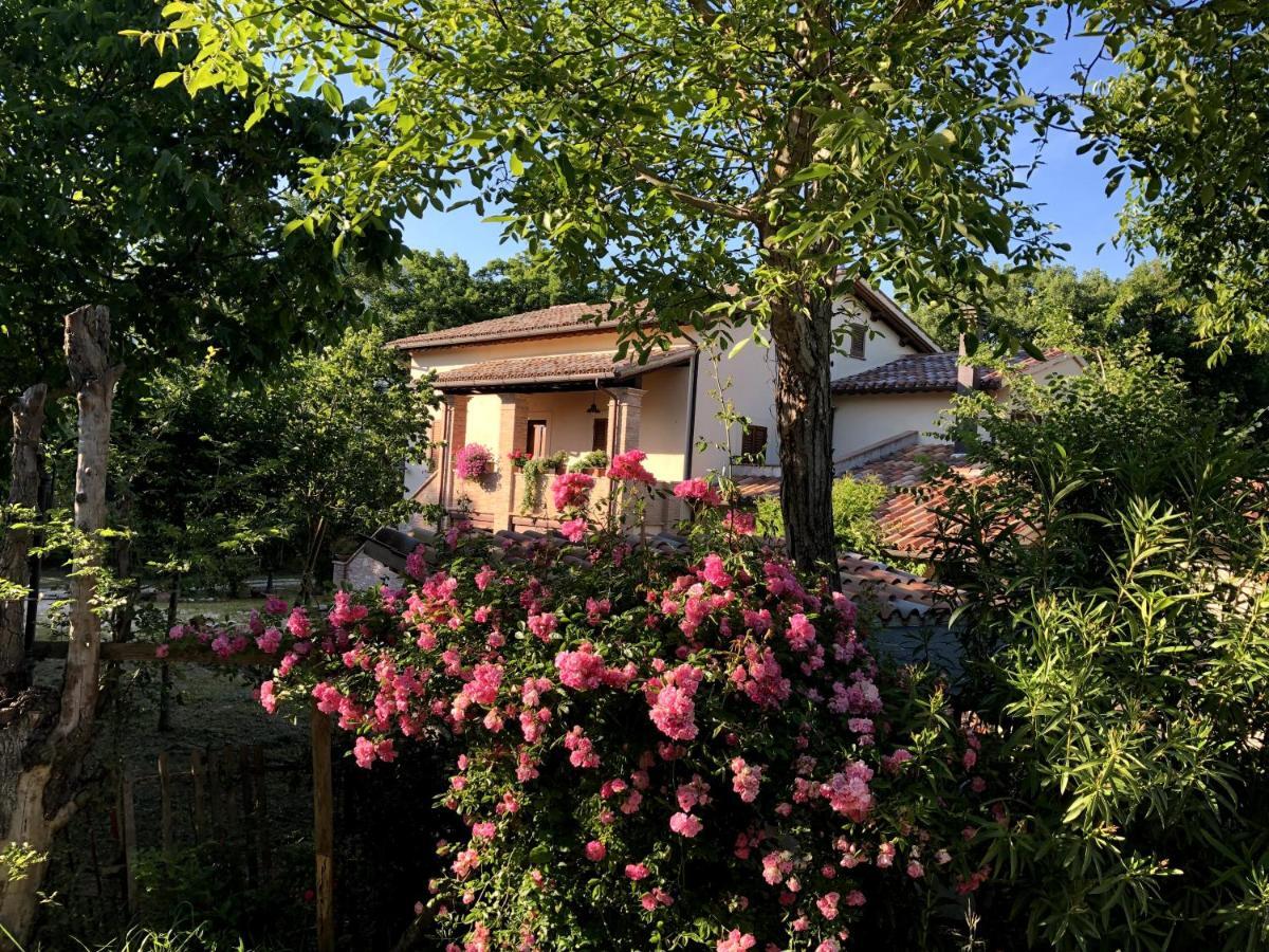 Arcadia Villa Spello Kültér fotó